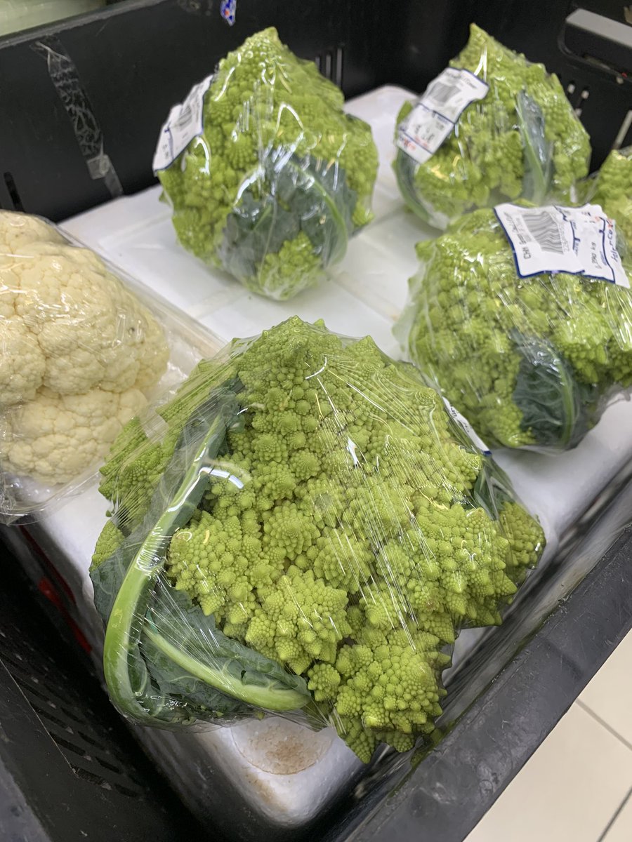 romanesco broccoli @ fairprice xtra 🥦📐