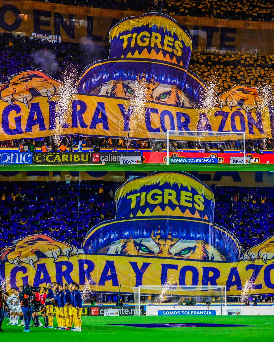 La mejor afición de México está en el Norte del País ¡Le duela a quien le duela! 🐯🏟️🌋