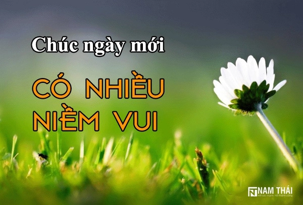 VicJou93's tweet photo. Hi mọi người
 ♥️ ♥️ ♥️
Chúc mọi người ngày mới vui vẻ !!!

Trong lúc chờ đợi và tạm quên đi vụ X không hoặc chưa Pay , mình muốn chúng ta cùng nhau hướng đến sự Tích Cực hơn 

Mình có lướt qua vài trang thông tin về thị trường thì thấy có sự kiện AMA trên space được 25-50u vào lúc 16h hôm nay, nếu mọi người rảnh hoặc tiện thì tham gia thử cũng được , hoàn toàn miễn phí và không mất gì nhé, trước đây thỉnh thoảng mình cũng hay tham gia , mọi người có thắc mắc gì cứ cmt mình trả lời nha 

https://t.co/0QNwV7hvdt