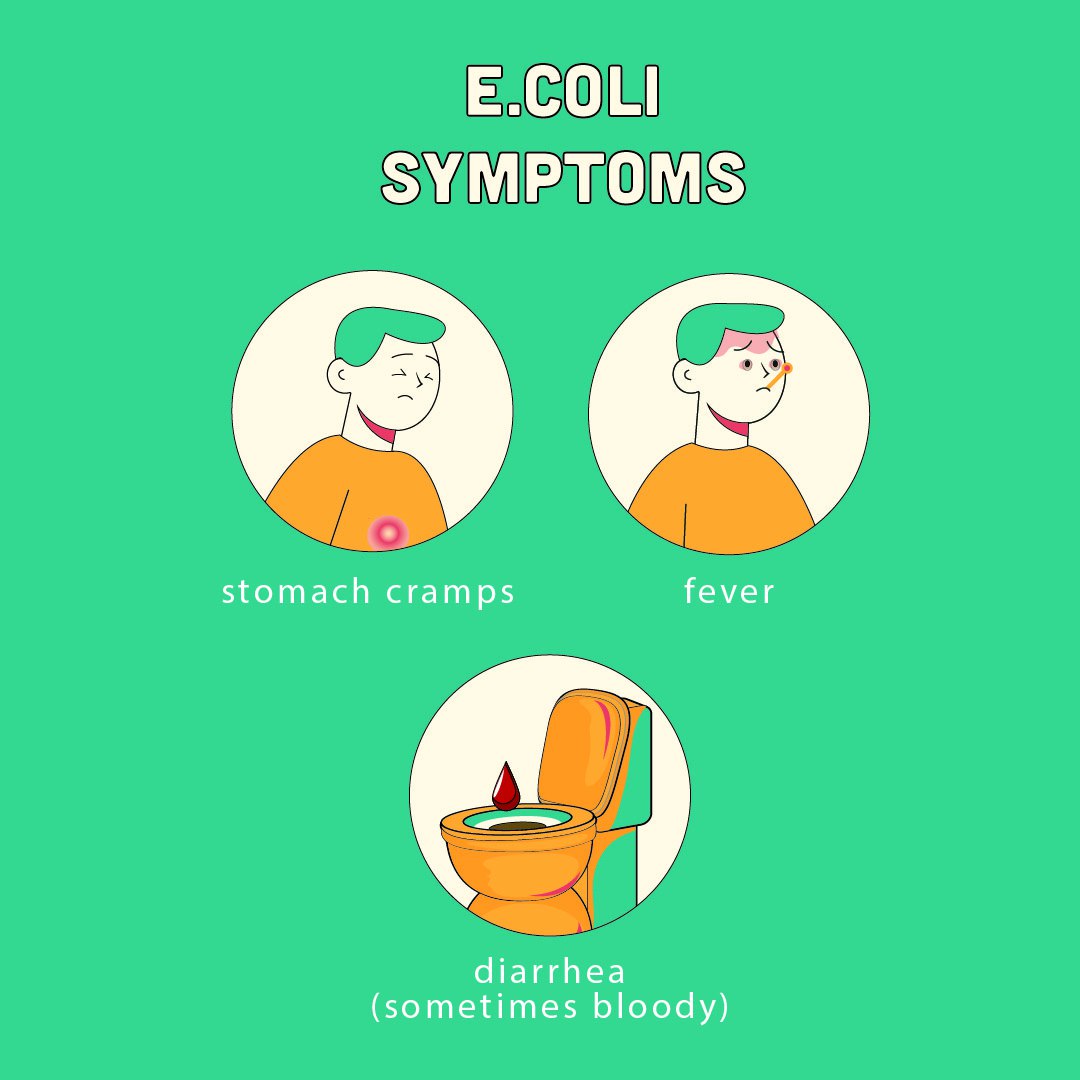 IpestM's tweet image. Cockroaches can spread many diseases!🦠😷  

They are hard to kill and can get anywhere!🪳💨  

Here are the symptoms of some of those diseases! 

#CockroachControl #PestFreeHome  #PestControl #PestControlExperts #PestFreeLiving
