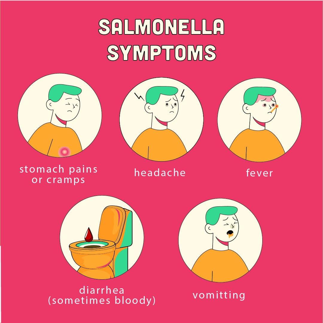 IpestM's tweet image. Cockroaches can spread many diseases!🦠😷  

They are hard to kill and can get anywhere!🪳💨  

Here are the symptoms of some of those diseases! 

#CockroachControl #PestFreeHome  #PestControl #PestControlExperts #PestFreeLiving