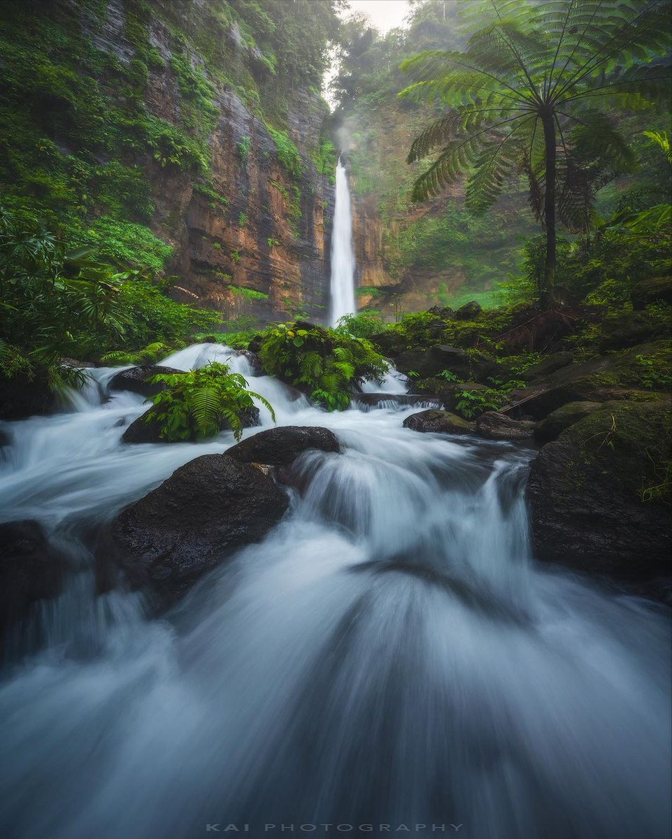 This world  is better than you ᠎think