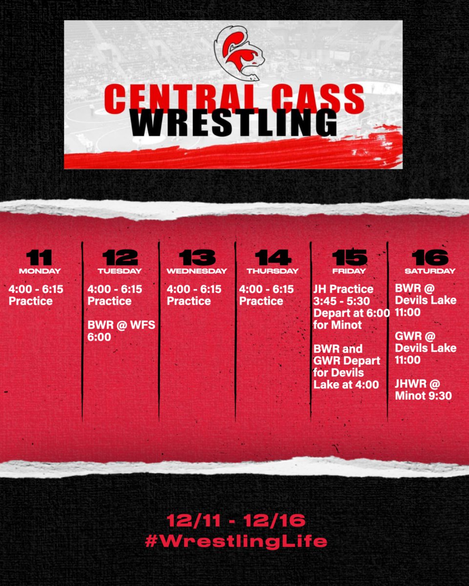 Squirrels Wrestling tweet media