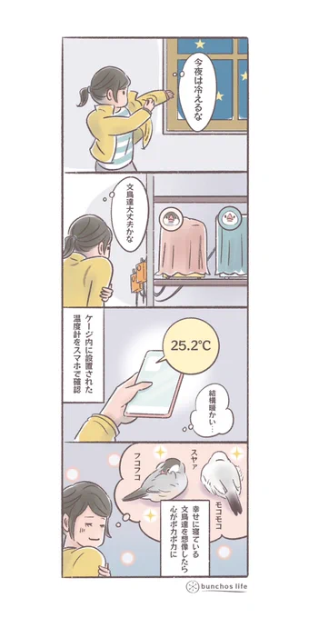 夜、文鳥のケージが暖かいと安心して心が暖かくなる(↓ツリーにオマケあり)
#文鳥 
#4コマ漫画 