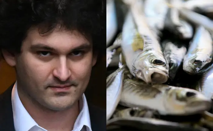 AWice's tweet photo. mackerel also had an oi flush, as positions totaling 3000 cans were liquidated at MDC in brooklyn after a "scam wick" wiped several large holders. some inmates were not happy with the price action, calling mackerel futures a "obvious manipulated fraud." sbf denied involvement. https://t.co/QbQvBo9i0X