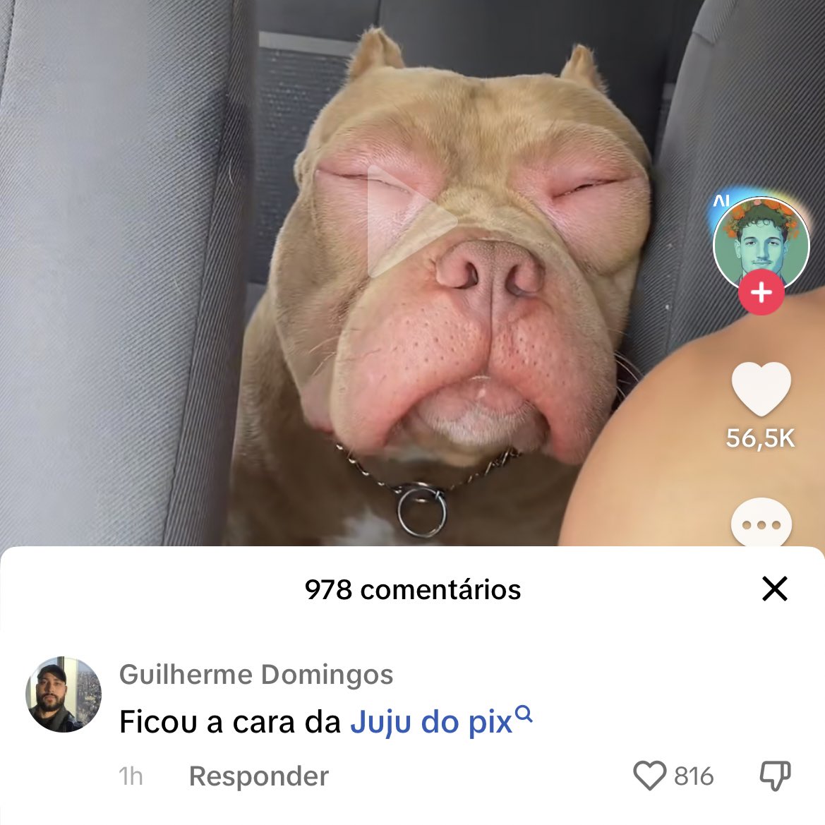 esquizopoc's tweet photo. https://t.co/zfzOPPkLMB