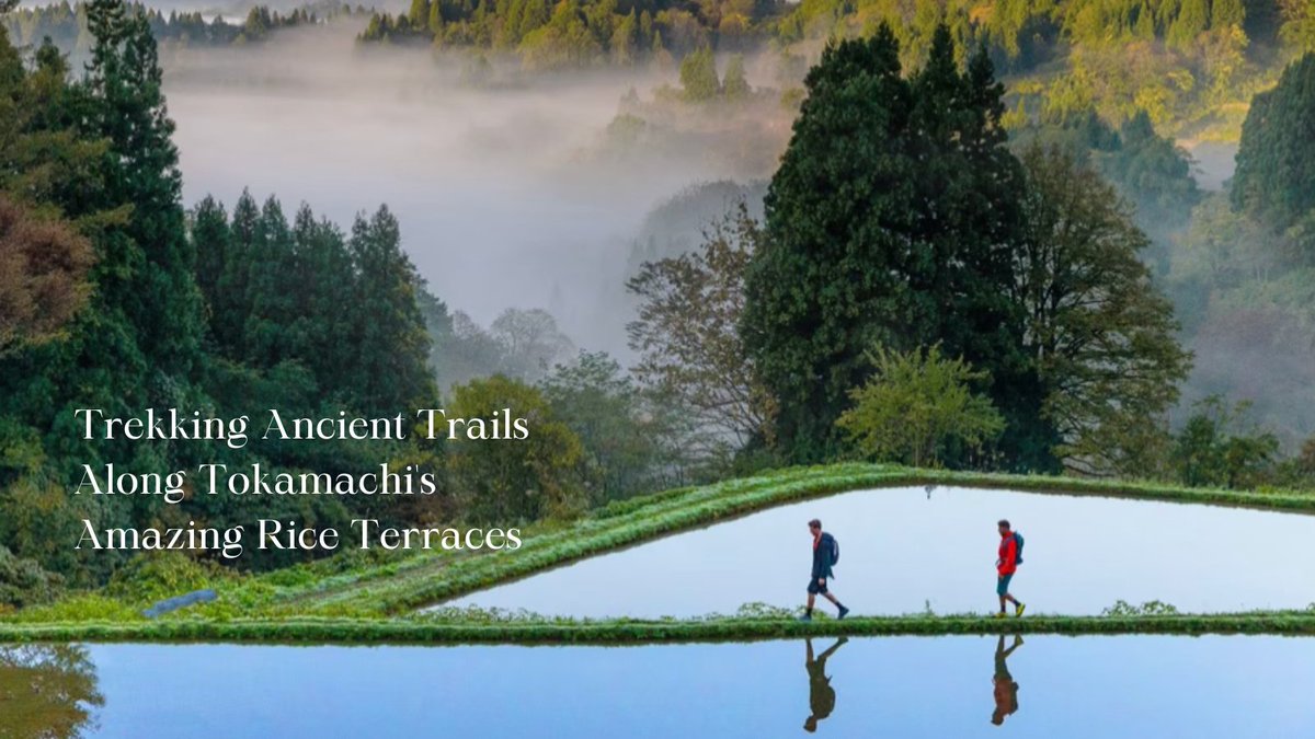AllAbout_Japan's tweet photo. Don't just admire #Japan's spectacular terraced rice fields from afar! Get to know them, the people whose determination created them & the history that has unfolded around them by joining a walking tour along the fields. https://t.co/v94n31eZhs #Tanada #TerracedRiceField #Niigata https://t.co/pohOKVR6ly