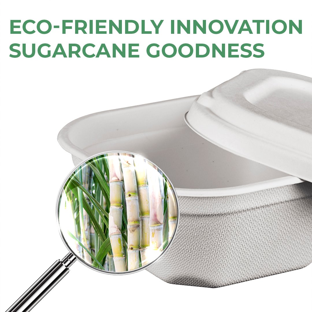GreenPlusPack's tweet photo. 🔍🌿 Dive into the world of Green Plus as we uncover nature's green secrets! Our commitment to sustainability shines through in every product, all crafted from renewable and compostable sugarcane bagasse. Join us in our eco-adventure! 

#GreenPlus #SugarcaneBagasse https://t.co/gcdLEG1HDX