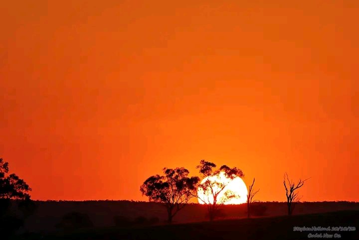 Ya Tuhan, kuserahkan semua rencana, impian, dan cita-citaku ke dalam tangan-Mu. Semua itu hanyalah hasil dari pikiranku; apa yang sesungguhnya aku inginkan adalah apa yang Kau inginkan untukku karena aku tahu bahwa itulah yang sungguh terbaik untukku. Dalam nama Yesus, aku berdoa