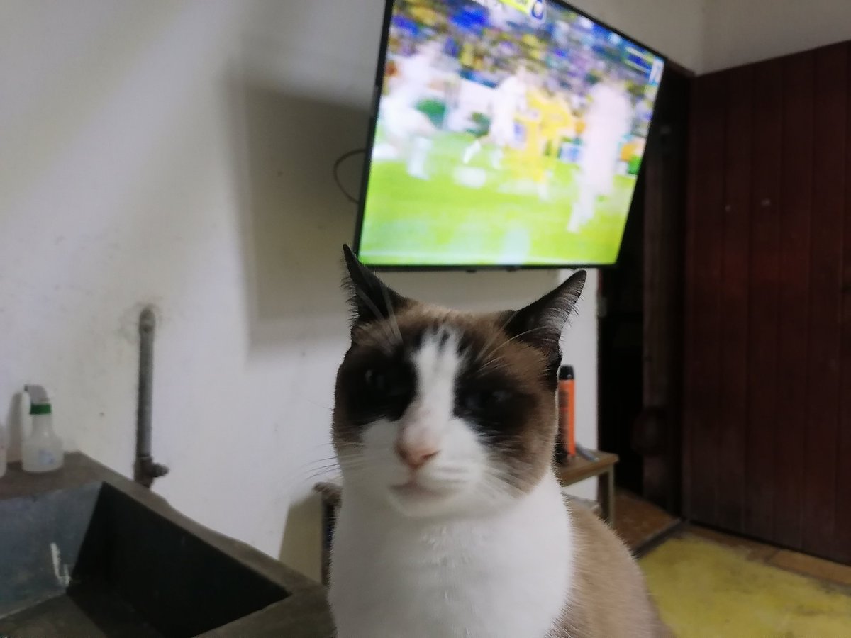 osielrenaud's tweet photo. Doris y yo, viendo el partido  de fútbol de esta #liguillabotanera #Tigres #Pumas https://t.co/wtfNqJ4GCU