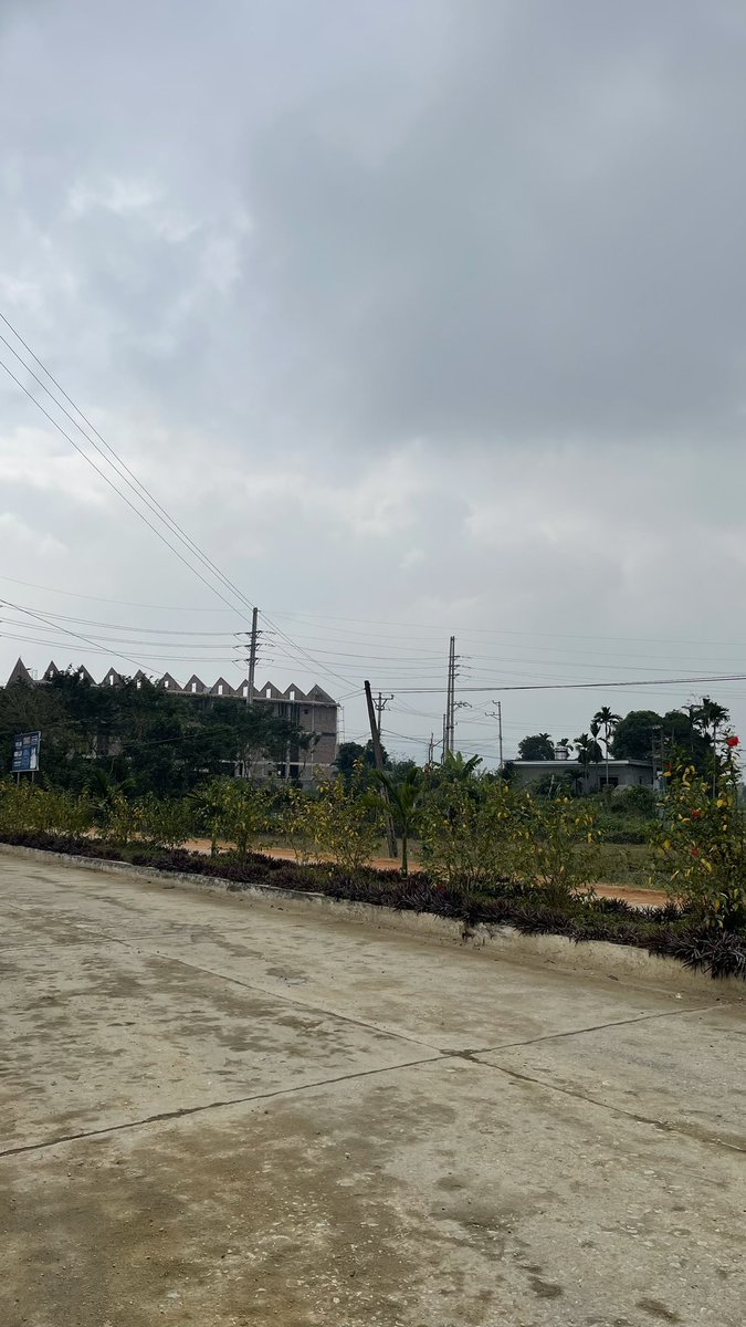 Ngày đầu tuần mà sao trời có vẻ âm u quá vậy nè. Năm nay chắc k có mùa đông rồi các bác ạ. Chứ thời tiết này làm e muốn tụt mood quá