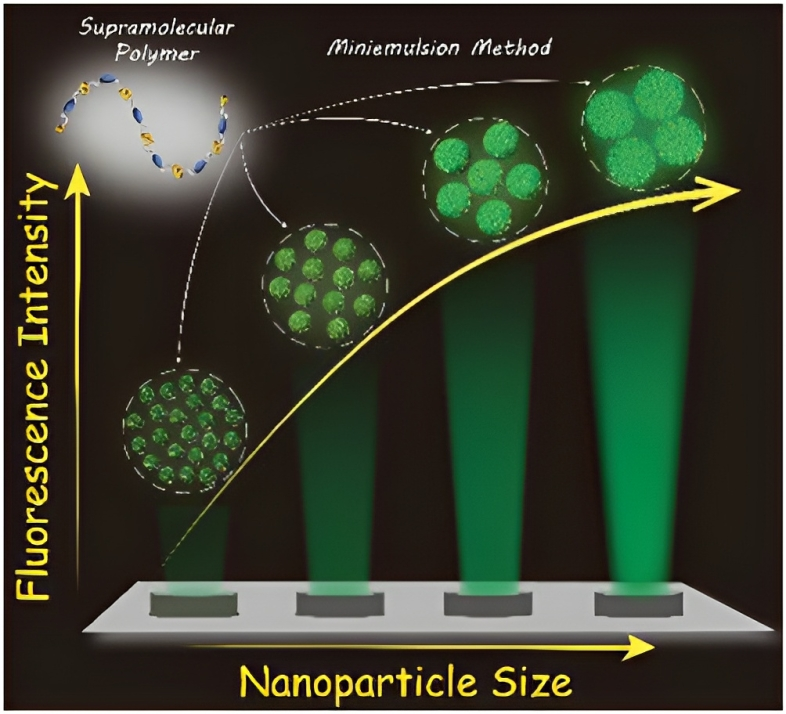 AggregateOA's tweet photo. Early View💡
"Unveiling size-fluorescence correlation of organic #nanoparticles and its use in nanoparticle size determination" by Bin Liu, Xiaoyan Zheng & Hui-Qing Peng et al. @BeijingChemical @BIT1940 @WileyPolymers #AIE #SizeEffect
Check👉https://t.co/Y6UHMyCj69 https://t.co/Duk4b5Ds49