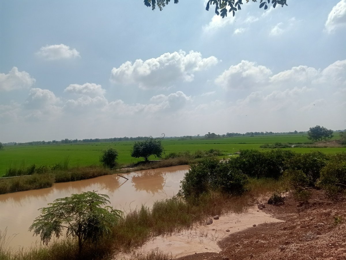 MEY7O's tweet photo. Landscape of hometown in hometown https://t.co/1Dqwgj2ly8