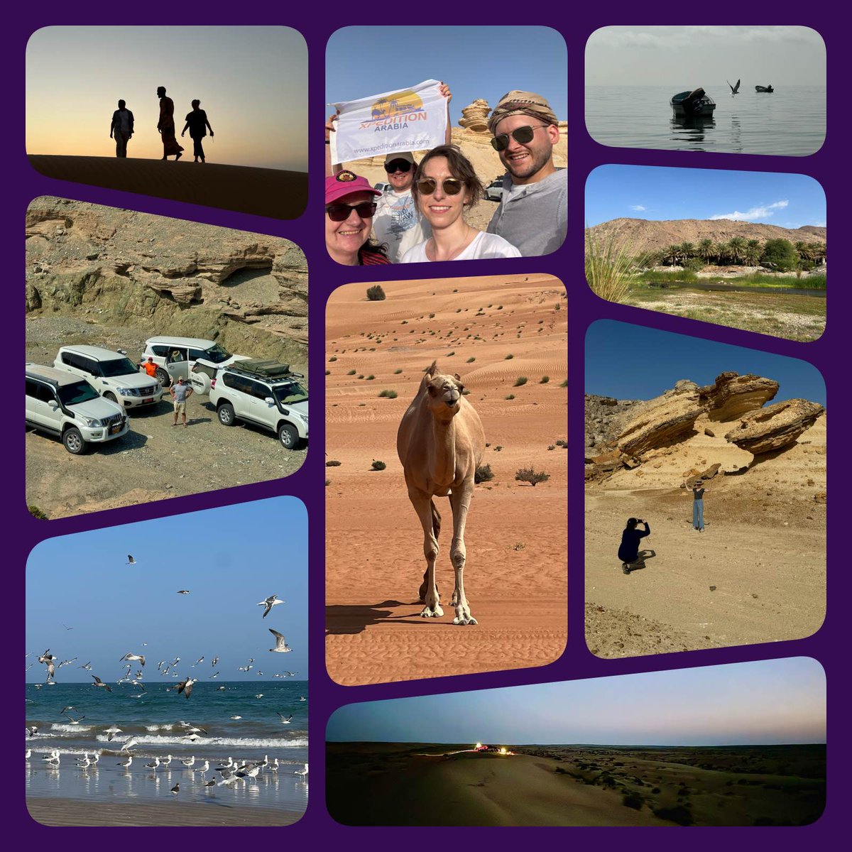 Someone asked me the other day, do we spend the whole week of Wild Wonders of Oman just driving!  Definitely not, as you will see by the photo montage we've compiled with photos from our guests Ana and Michal!

loom.ly/DD8-qvc
