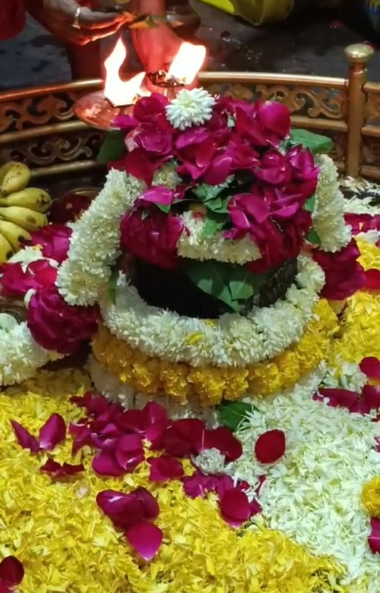 श्री घृष्णेश्वर ज्योतिर्लिंग जी के आज के प्रातःकालीन अभिषेकम् पूजा व मंगला आरती के दिव्य श्रृंगार दर्शन 11.12.2023
