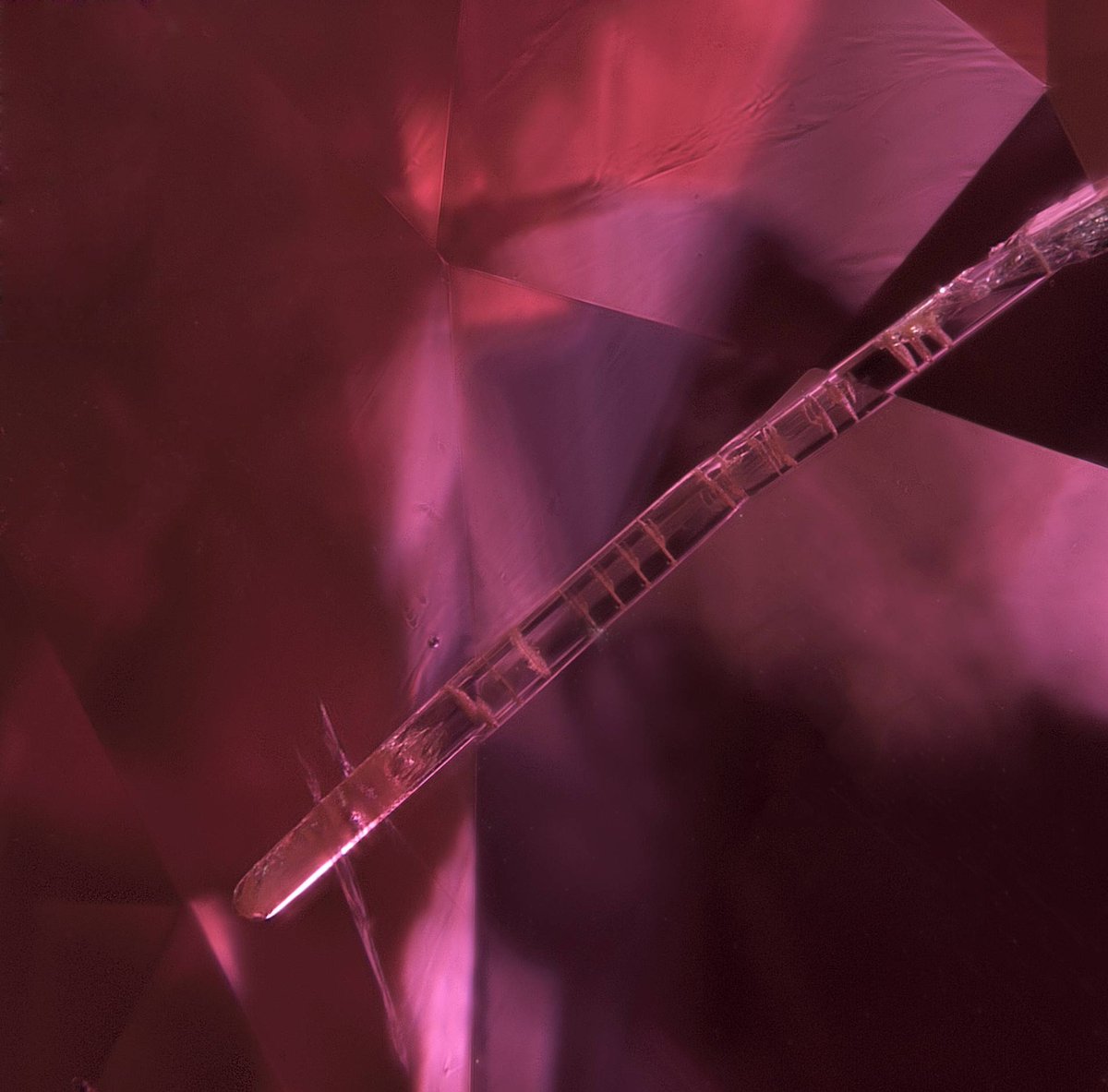 HorizonGems's tweet photo. Amphibole group member crystal exhibiting cleavages perpendicular to the lengthening direction in an unheated Ruby from Mozambique.#AmphiboleGroup #CrystalCleavage #RubySpecimen #MozambiqueOrigin #Mineralogy #GemstoneCollector #NaturalBeauty #Inclusions #GeologyFinds #horizongems https://t.co/HeGCrlfG5U