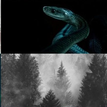 headmasterza's tweet image. 