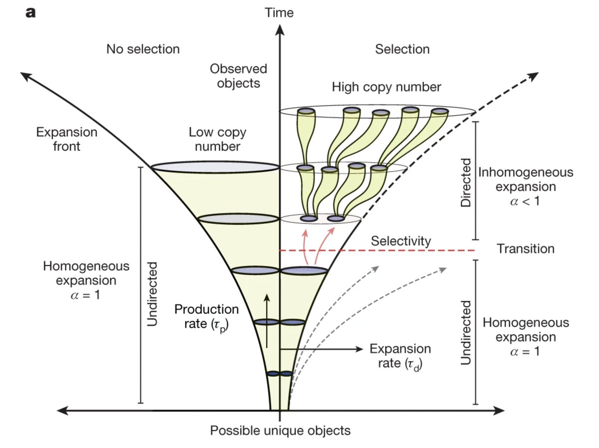 Andercot's tweet photo. Groundbreaking New Theory of Life, the Universe, and Everything

@leecronin has a new theory of Selection that draws from information theory, complexity science, physics, chemistry, and biology.

Here's how Assembly Theory provides a universal radar for all possible life:

tl;dr:
- Any possible Object can be described by their complexity, or steps it took to create them, and number, or relative abundance.
- Selection processes produce Objects of high complexity and in large numbers
- This lets you compare how 'evolved' any two things are, whether they are living or not, and makes testable predictions on their evolutionary history. 

Just like Entropy quantifies how much information content a system has, Assembly Theory quantifies how 'evolved' any system is. 

What does Assembly Theory Answer?
Assembly Theory tries to get at something profound - is there a universal framework for understanding any possible selection process, beyond just what we think of as living systems?

Even further than that, is there a way to understand not just that functions of biological systems (or social systems, etc) are generated via evolution and selection, but how certain forms come to predominate in a given environment - how does evolution select from among a vast possible space of future configurations?

Physics doesn't provide the answer - it makes no difference between random fluctuations, and long processes of selection. Biological natural selection also doesn't explain the origins of life - you have to have an existing complicated chemical landscape to provide Life's building blocks. 

And more-so, Biology only heuristically provides a description of how social systems, manufactured products, ideas, and non-living systems can evolve and undergo selection over time. 

Assembly Theory is incredible simple and elegant:

Every object has two two key properties:

Assembly Index, or the number of steps it takes to create something. For a molecule this could be number of chemical bonds; for a genetic sequence, the number of DNA letters. 

Copy Number, or the relative abundance of of that object in its environment.

With these two concepts we can define Assembly Number, which is roughly, what is the likelihood this object was produced by a selection process, as opposed to random chance?

This is an absolute first for a theory general enough to span chemistry to biology to manufactured products.

In general, it was found that living systems possess an Assembly Number greater than 15, while non-living objects are found to be less.

You can calculate the assembly number of anything using just a mass spectrometer, which is incredible, since @leecronin then used this assembly number to correctly reconstruct a tree of life of evolved systems without any gene sequencing.

Whats the 'So-What' of Assembly Theory?

A mathematically predictive model of natural selection and inheritance, and a generalized threshold of complexity for any system enables something truly profound:

Assembly Theory provides a universal and general 'radar' for any possible living system, or, something that has evolved through natural selection, regardless of its chemical basis - carbon, sulfur, silicon, etc. 

Life in our universe may be far stranger than we possibly imagined; Assembly Theory may prove to be the beginnings of an entirely new scientific field - the equivalent of a Statistical Mechanics for any arbitrary evolutionary process.

This is certainly one of the more interesting and novel theories to be published in recent years for its potentially grand-sweeping scope and interdisciplinary nature.

You know it has potential when scientists from physics, chemistry, biology, and complexity theory are all upset and digging in.

@leecronin is one to watch for anyone interested in new foundational theories of Life, the Universe, and Everything.