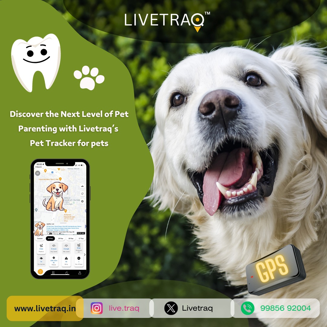 'Empower your pet parenting journey with Livetraq GPS for Pets: Real-Time Tracking 🌐, Geo-Fencing for Boundless Freedom 🚀, User-Friendly Mobile App Experience 📱, Waterproof Durability for All Adventures 🌧, and Activity Monitoring for a Healthier, Happier Furry Friend! 🐾