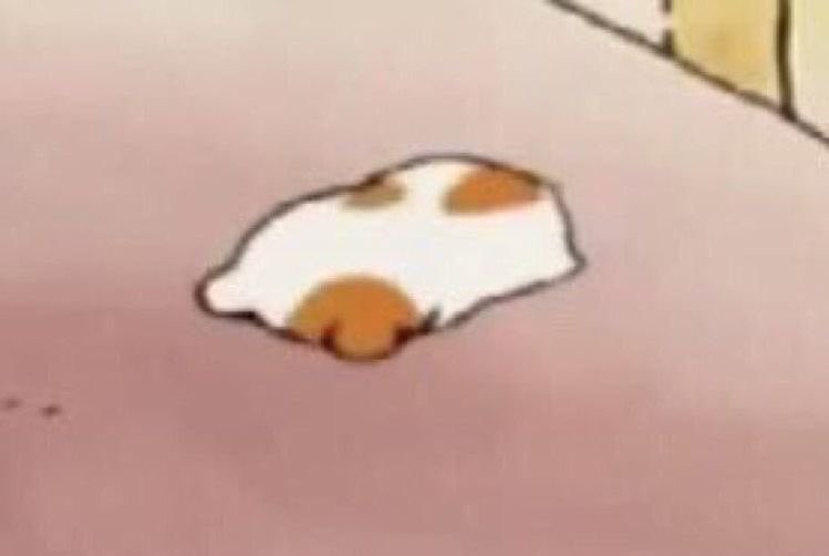 thinking about how adam probably just plays piano in his home from time to time and it’s so unfair that i’m not a nyc cockroach living in his walls who’s able to listen to him playing 😔😔