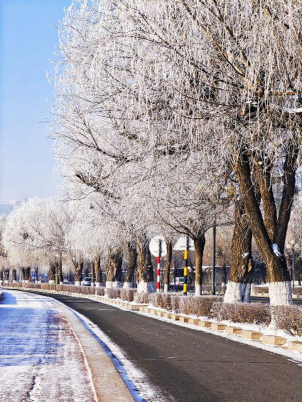 DiscoverJilin's tweet photo. A few days ago, the #Songhua River has the first large-scale #rime landscape this #winter, the river is like a mirror, the fog curls on the river, the two sides of the willow tree formed a silver ice, like flowers~ https://t.co/p1rPd3P4pl
