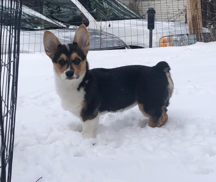 Cody Proctor tweet media