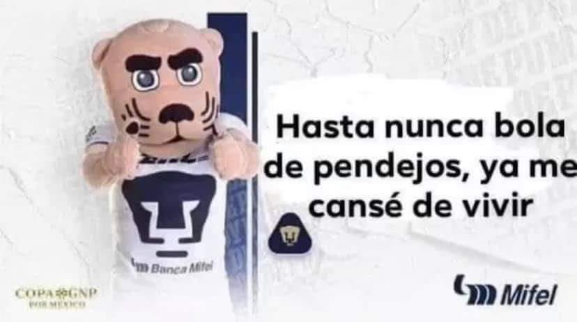 emilianoooop's tweet photo. @PumasMX COMO QUE GRACIAS AFICIÓN, nunca les ha faltado apoyo, siempre se les da su tiempo de adaptación y simplemente no dan el ancho. De varios jugadores ya terminó su ciclo; espero refuerzos de calidad para el siguiente torneo, DALE PUMAAAS 💛💙 https://t.co/GpEllRuN4D