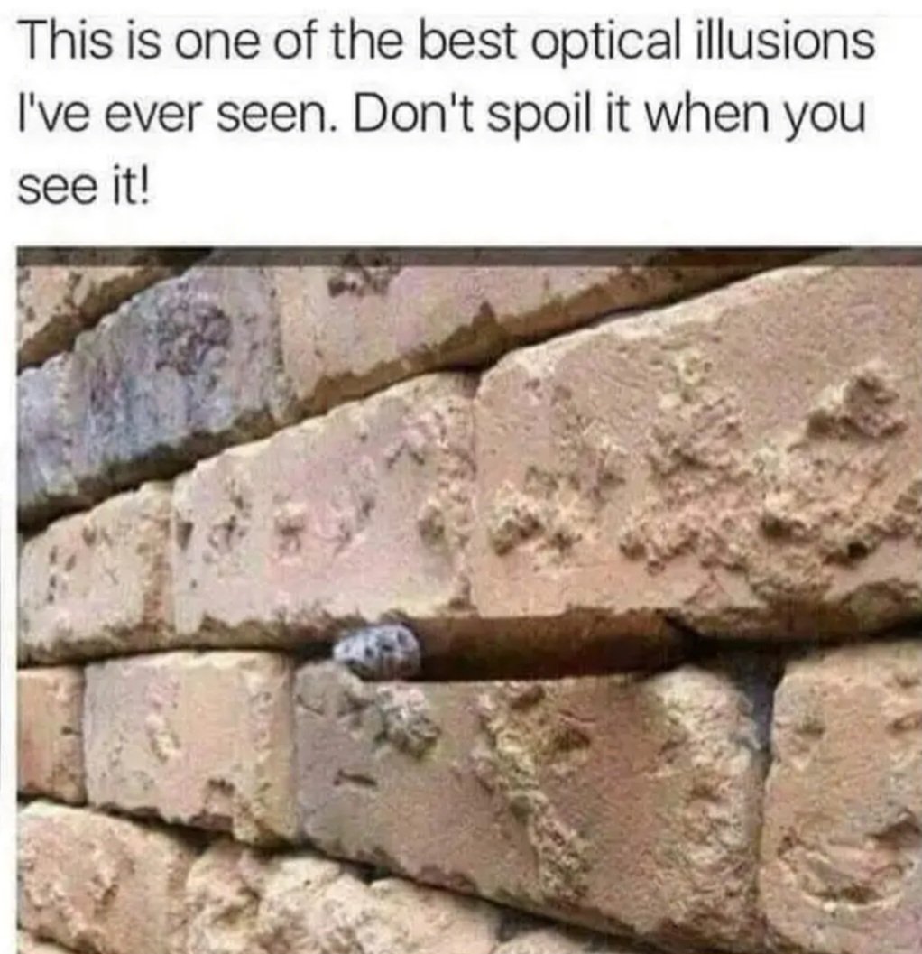 Lesnessman9's tweet photo. @Rainmaker1973 This is a good one. 
Once you see it, you can't unsee it. https://t.co/F1qlx0UsLU