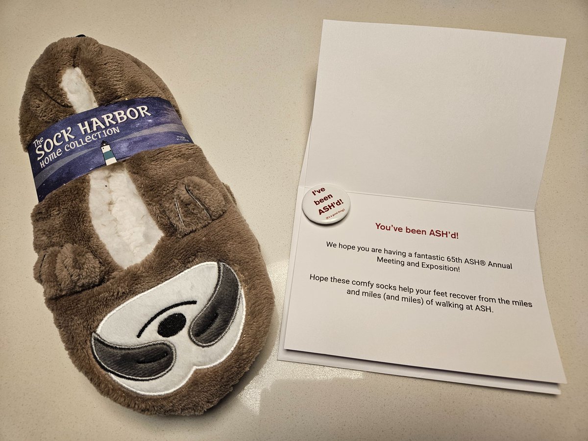 Got back to my room (after only 5.5 miles today) to find that I got ASH'd! So comfy and cute - pediatrician approved! Thanks <a href="/ASH_hematology/">ASH</a> 😊