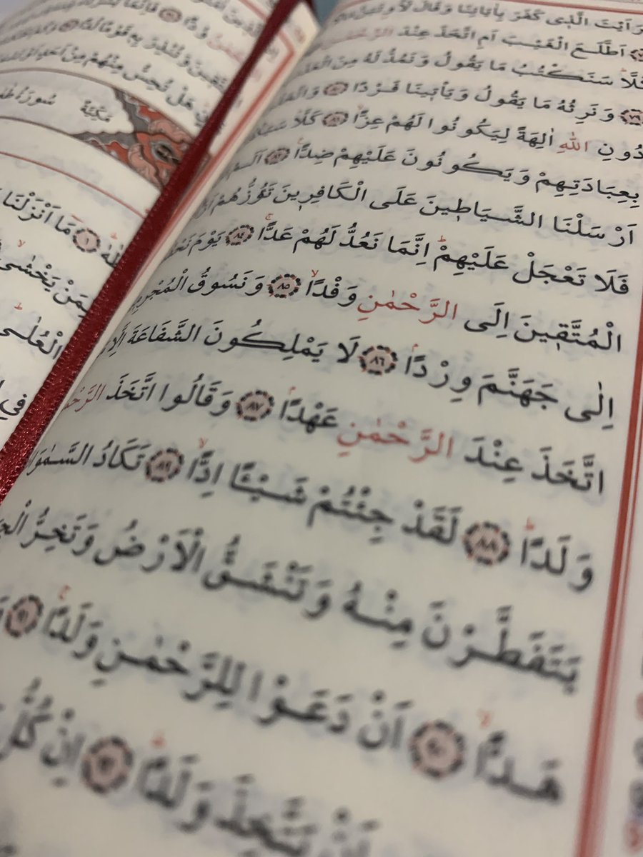 hatcetulkubra's tweet photo. Filistin için evde kal ve 
Kuran Oku.
Dua et.
Çocuklarına, komşularına,akrabalarına bu savaşın nasıl son bulacağını  anlat.
Elinden geleni yaparken duaya devam ettiğini yaşayarak göster. 
#Strike_for_Gaza 
#StrikeForGaza 
#gazzeicingrev https://t.co/CYI4B9oFab