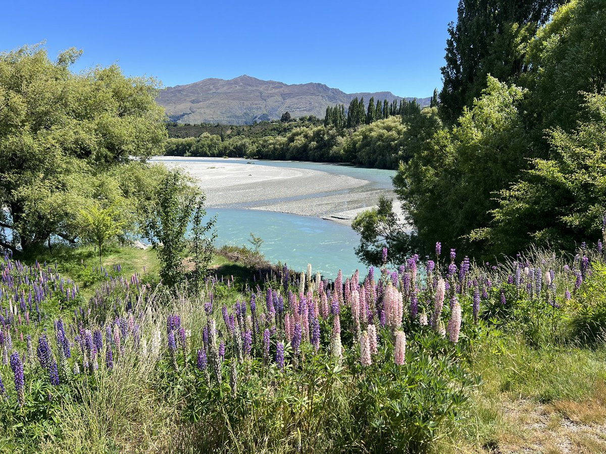 Simon Thorpe tweet media