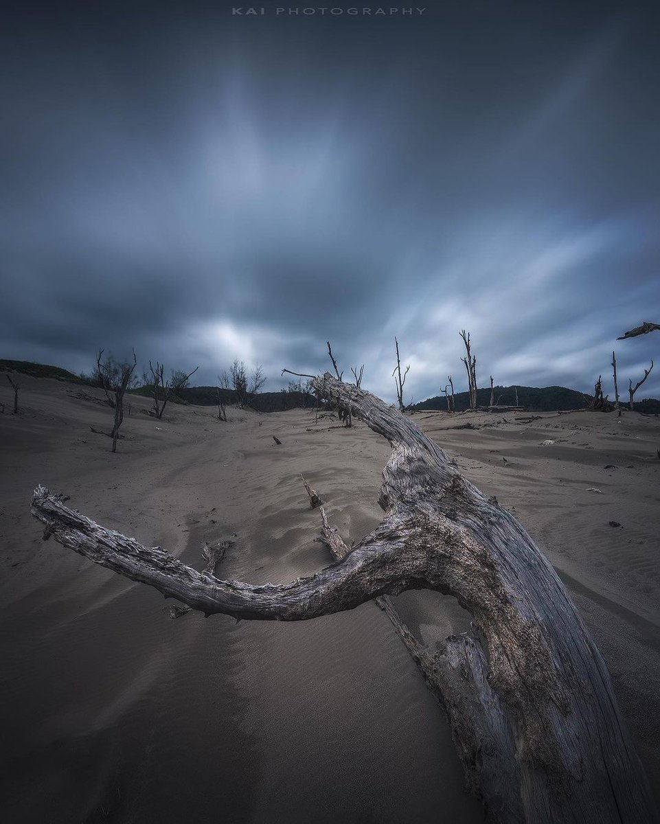 Sitheesh825498's tweet image. Beautiful things ᠍are ﾠwaiting ᠍for ​you ⬝to ᠍discover.