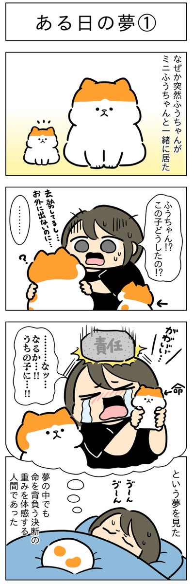 ある日の夢①②│フェリシモ猫部 