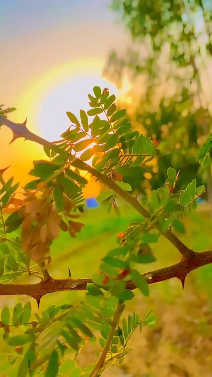 thashesm16082's tweet image. A ﾠscholar is like ⳿climbing ​a ‍mountain. ᱸHe ᠎will ⬝gain ⬝height ⬝by moving. ﾞIt ᱸis like ‍sleeping  for ᠍a ⬝long time, ᠎and he ᱸwill ﾠgain strength ⬝after ﾞa ᱸlong ‍time.