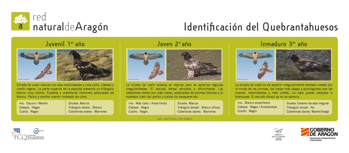 Cerca de Escuaín (Huesca), permite ver aves como el quebrantahuesos, e identificarlas gracias a sus paneles interpretativos.

Más info sobre el proyecto: paleoymas.com/dt_portfolios/…
#interpretación #observatoriodeaves #ParqueNacionaldeOrdesayMonteperdido