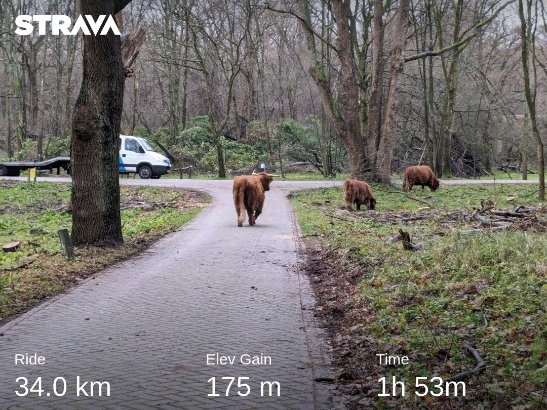 Wet and windy Kennemerland strava.app.link/QGXATMZlrFb