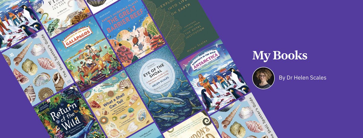 And for the book-loving, ocean-loving, nature-loving people in your life, young and old alike, here are my books. Order via my page at @bookshop_org_UK and you'll be helping to save the sea with donations to @BeASeaChanger 🐙🪼🐧🪸🐟🦦🦭🐠🦩🦜🐅🐢🦋 uk.bookshop.org/lists/my-books…?