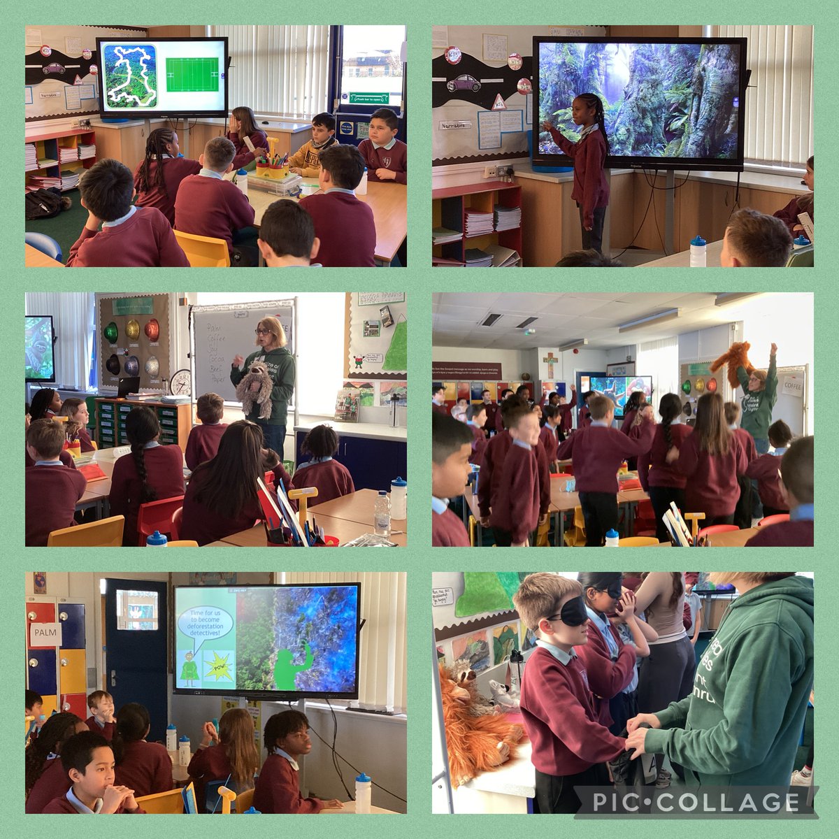 Diolch to Suzie from @sizeofwales for helping us to become deforestation detectives this morning!