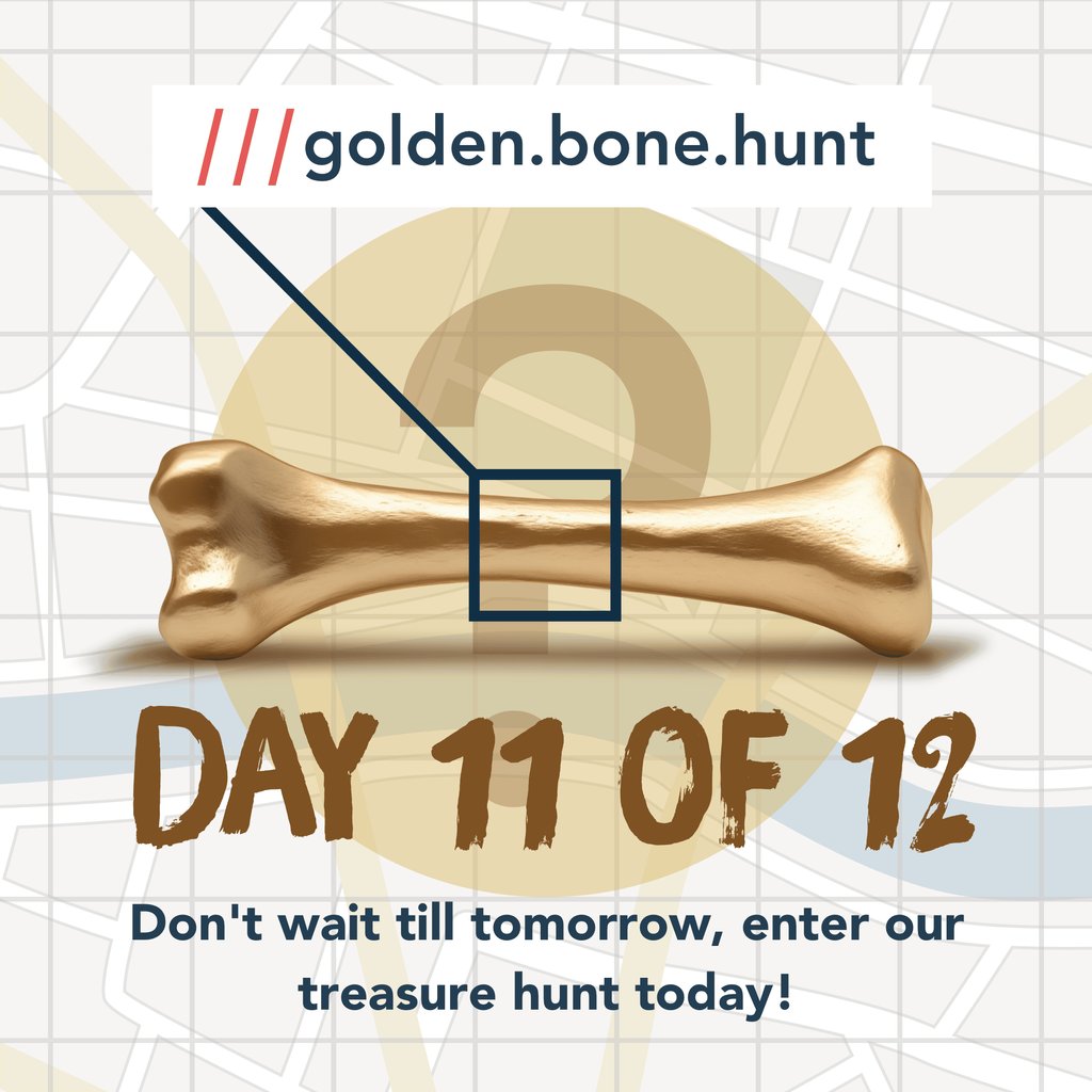 Who doesn’t love a treasure hunt?*

Here’s today’s clue to help you sniff out another golden bone: “The abbey at what3words ‘rescuer.conspire.same’ is the start or end of walkies on the Pembrokeshire Coast Path.”

Enter here: social.caninecottages.co.uk/goldenbonecomp…

*Ts &amp; Cs apply