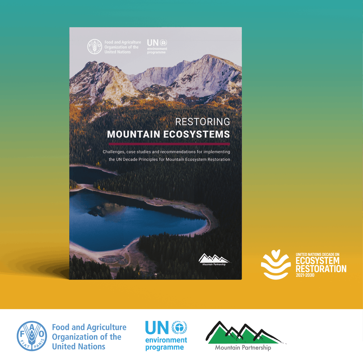 New publication!🏔️ Download ‘Restoring mountain ecosystems | Challenges, case studies and recommendations for implementing the UN Decade Principles for Mountain Ecosystem Restoration’ today. #MountainsMatter #InternationalMountainDay fao.org/documents/card…