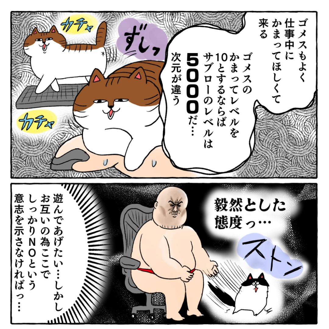 子猫と在宅勤務🏠(2/2)