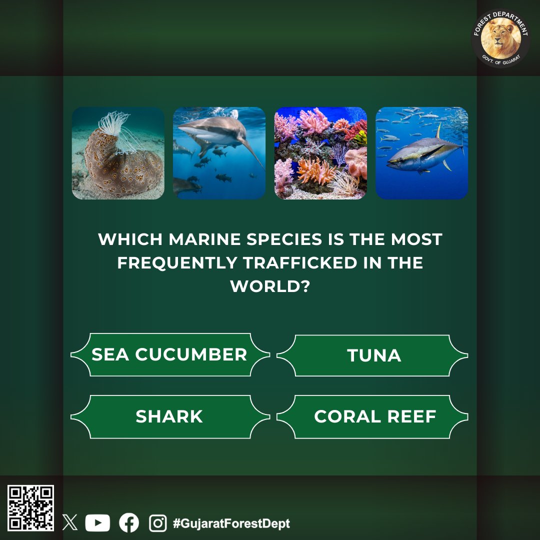 GujForestDept's tweet image. Test Your Knowledge: Can You Ace This Quiz?

#quiztime 
#testyourknowledge 
#quizmaster