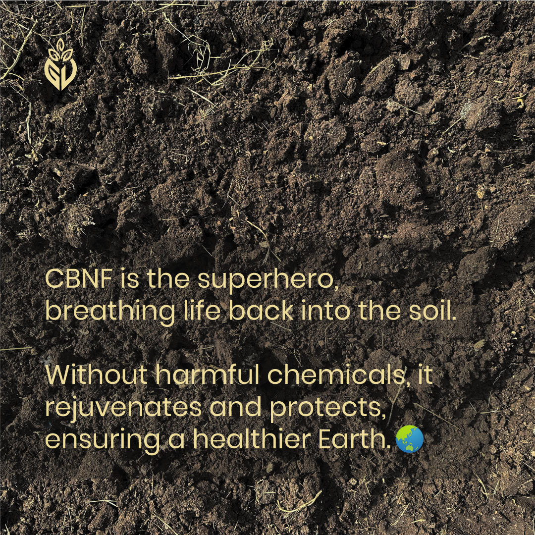 girveda's tweet photo. Let's celebrate World Soil Day by embracing the magic of Cow-Based Natural Farming with Girveda.
Join us in nurturing and reviving our Earth's life source: Our Soil!
.
#Girveda #NourishingDecember #GoGreenWithGirveda #GirSeGharTak #CowbasedFarming #HealthyLiving #HealthyLife https://t.co/bjwG7vmRV6