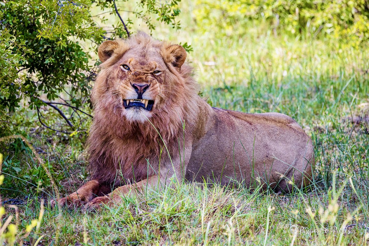 When you realise it’s Monday again. #loveBotswana