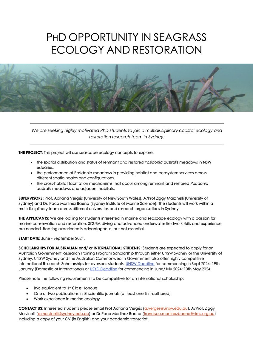 @adriatix @ZiggyMarzinelli and I are looking for postgrads interested in pursuing a PhD on a key research topic involving #seagrass habitat and #seascape #ecology. Is this for you? Join us! 💪🏼 🌱