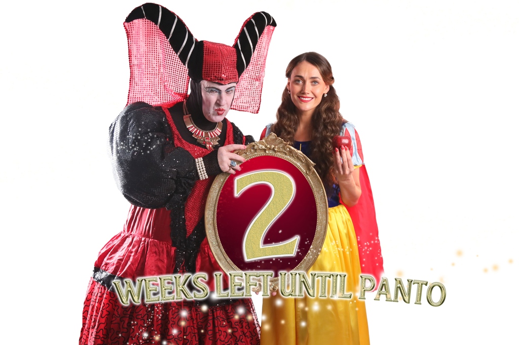 Limerick Panto Society tweet media