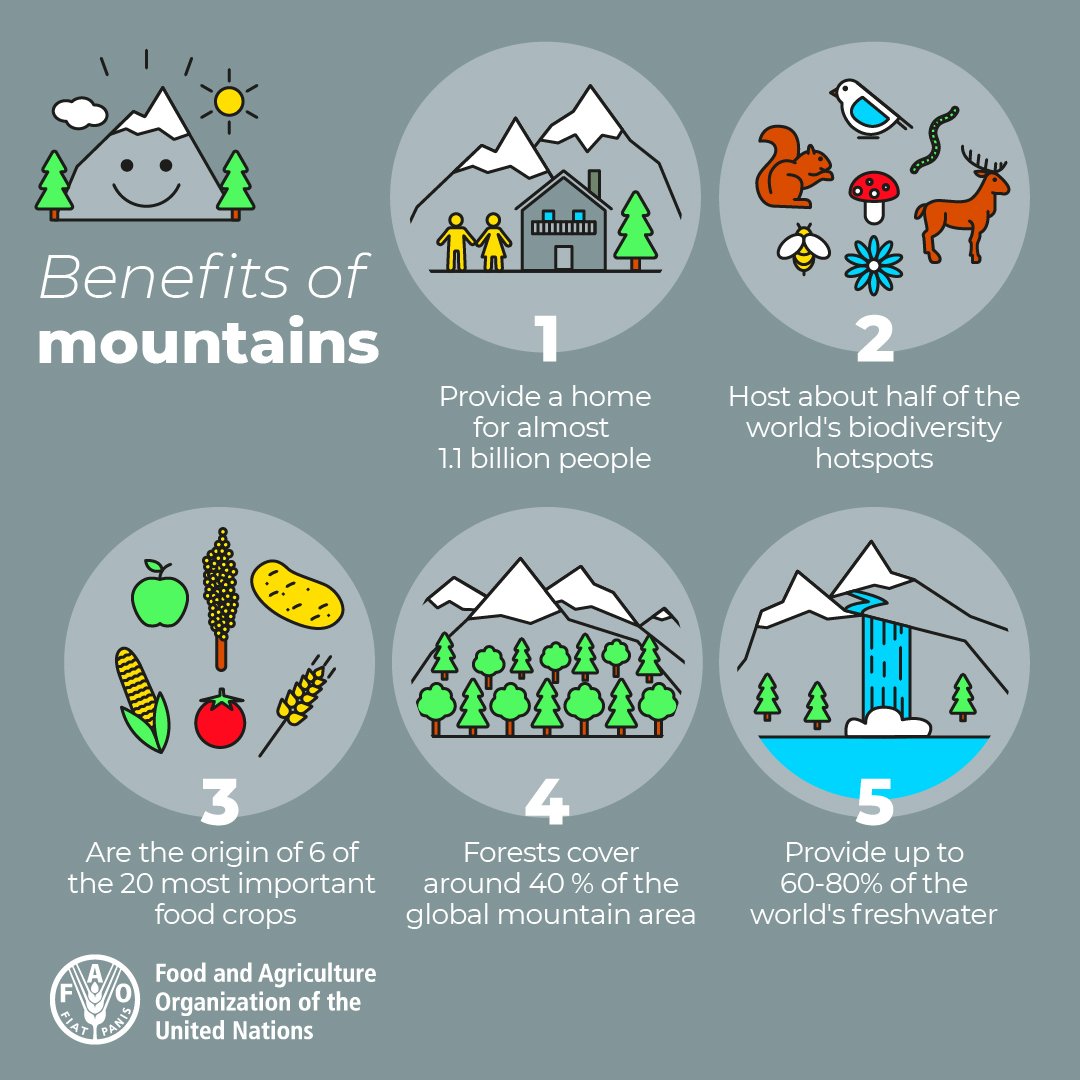 Today is #InternationalMountainDay2023⛰️ Did you know that healthy mountains help mitigate the effects of #ClimateChange and its related risks? Restoring mountain #ecosystems is vital to ensuring life on🌍! Via: @FAO #MountainsMatter #IMD2023 #COP28 #GenerationRestoration