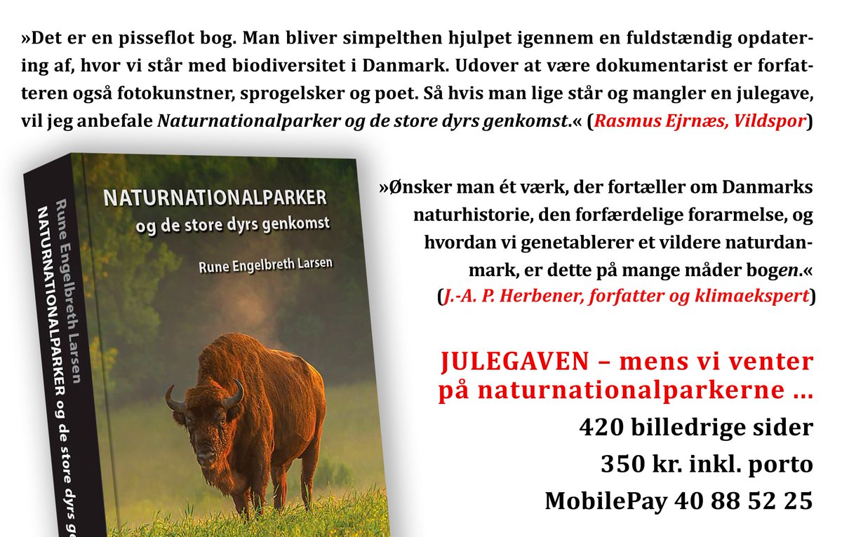 Det bli'r jul, mens vi VENTER PÅ NATURNATIONALPARKERNE 🦋 Imens: Kom HELE vejen rundt om baggrunden, biodiversitetskrisen, de planlagte 15, de oplagte udvidelser, de næste 15 + hvor og hvorfor vildheste, elge og bisoner er på vej. Læs mere: naturzonen.dk/nnp🐾#dknatur