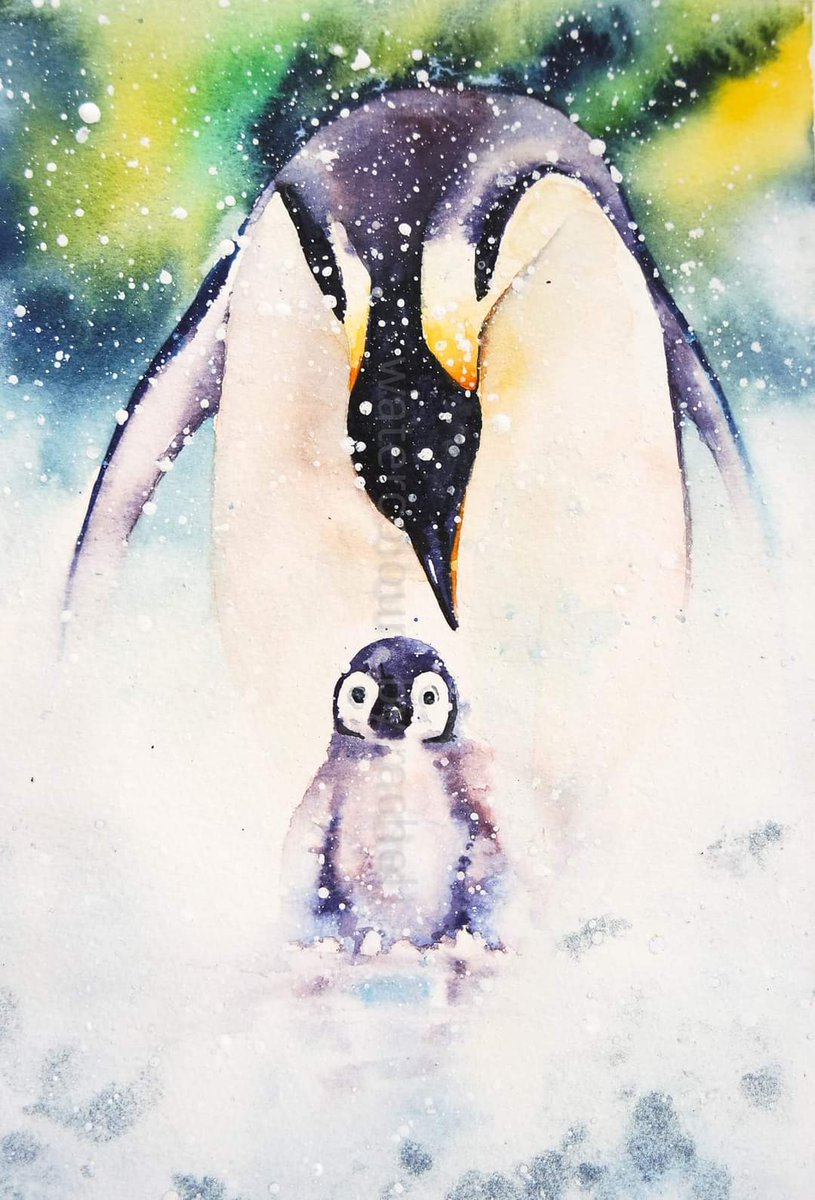 Watercolours By Rachel Advent Calendar Day 11 Northern Lights A magnificent array of colours. Reds, greens, violets, blues, A mystical curtain of bright celestial hues. Happy Monday x #watercolour #penguin #northernlights #cold #wildlife #art #ChristmasCountdown #snow #paint