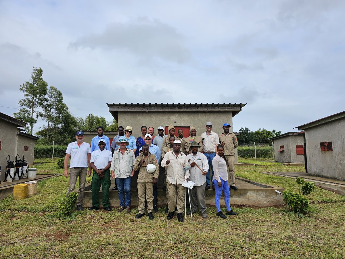 Another experimental hut trial began last week <a href="/Manhica_CISM/">CISM Manhiça</a> to test novel IRS products to aid #malaria control and elimination in #Mozambique. Under the excellent leadership of <a href="/CKiuru/">Caroline Kiuru</a> with the invaluable help of <a href="/GoodbyeMalariaZ/">Goodbye Malaria</a>. Thanks for a fun and productive week. Força💪🏼